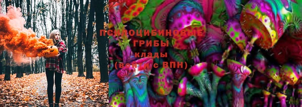 дживик Алексин