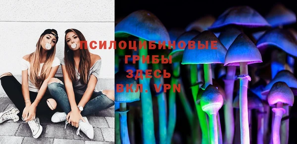 ГАЛЛЮЦИНОГЕННЫЕ ГРИБЫ Алексеевка