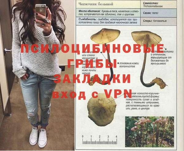 ГАЛЛЮЦИНОГЕННЫЕ ГРИБЫ Алексеевка