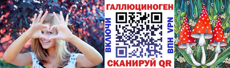 Псилоцибиновые грибы Psilocybine cubensis  Жирновск 